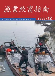 渔业致富指南